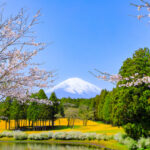 Gotenba-shi